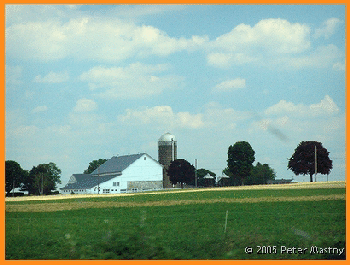 Amish Farm