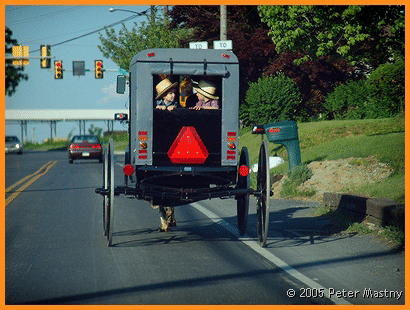 Amish carriage with boys