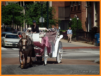 Hoch zu Pferde durch Philly