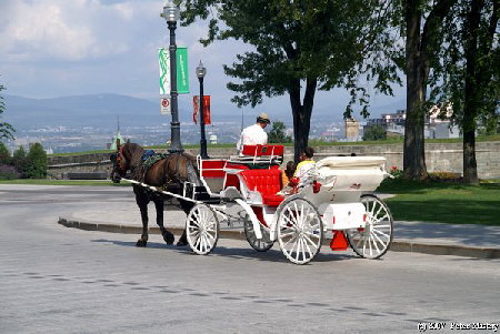 Ausflugskutsche in Quebec City
