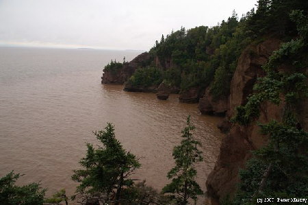 Hopewell Rocks Coast