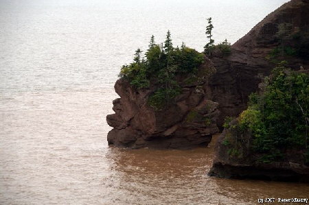 Bay of Fundy