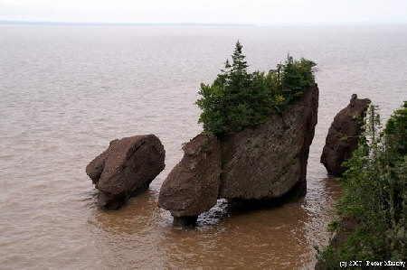 Flower Pot Rocks Flut