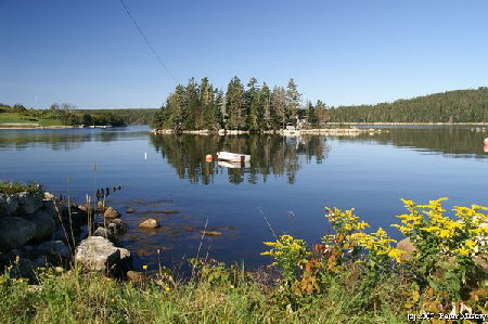 Insel im Hatchets Lake