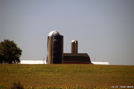Farm in Wisconsin