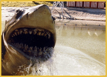 Bruce der weisse hai..... - Universal Studios