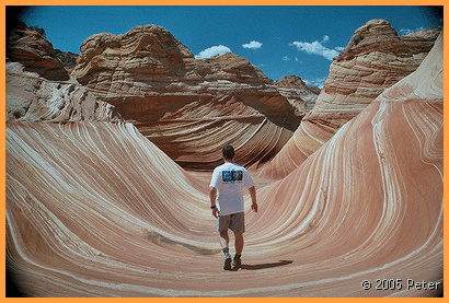 Ein sch�ner R�cken - Wave 